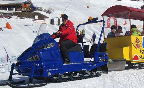 alpine sherpa snescooter 