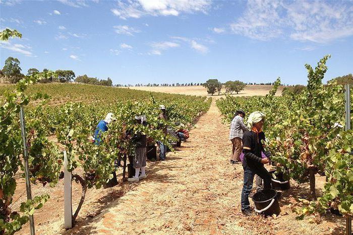 Australien: Industri og økonomi