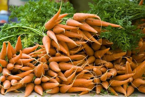 Hvornår og hvordan man fodrer gulerødder