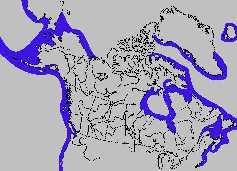 Industri Canada