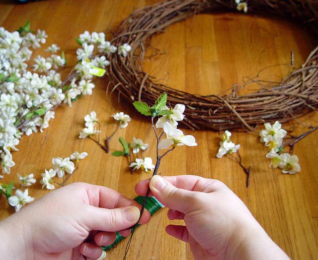 floristisk wire