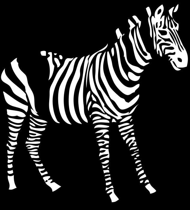 gåde om zebra for børn