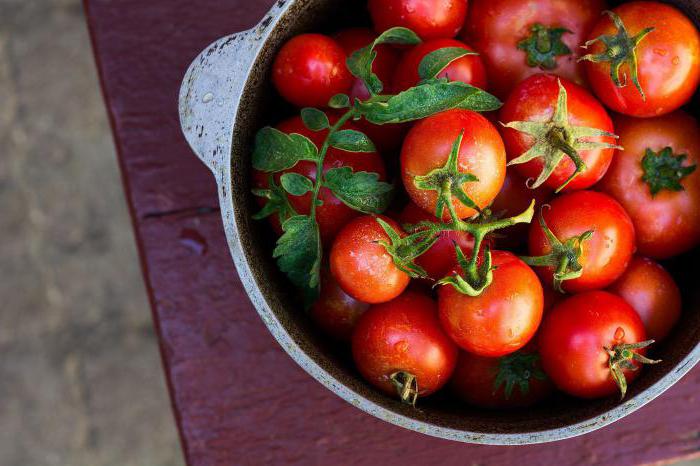 Anvendelse af jod i haven: plantens ernæring, skadedyrsbekæmpelse og sygdomsbekæmpelse