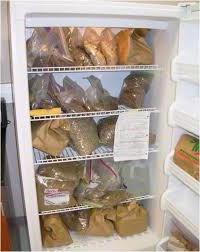 stratificering af frø i køleskabet 