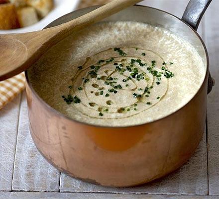 Champignon creme suppe med fløde: opskrifter