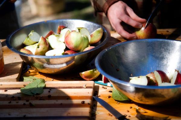 Apple cider hjemme: Vi forbereder lækker vin fra almindelige æbler