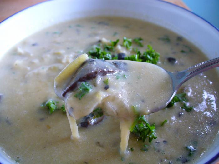 suppe med svampe og vermicelli 