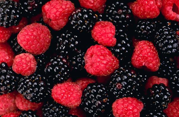 At lære at spise kompetent: frugt og bær, kaloriindhold og næringsværdi