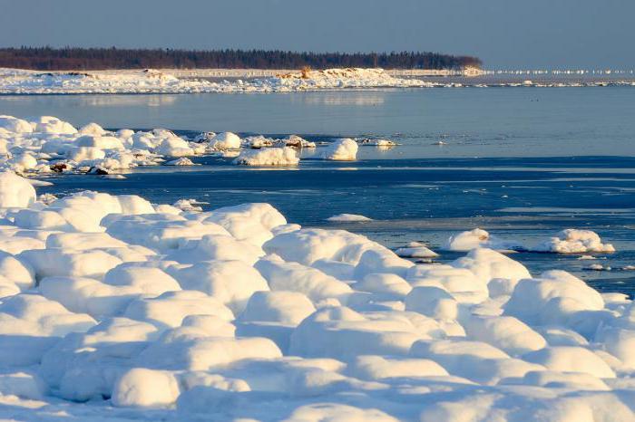 Onega Bay: placering, beskrivelse, funktioner