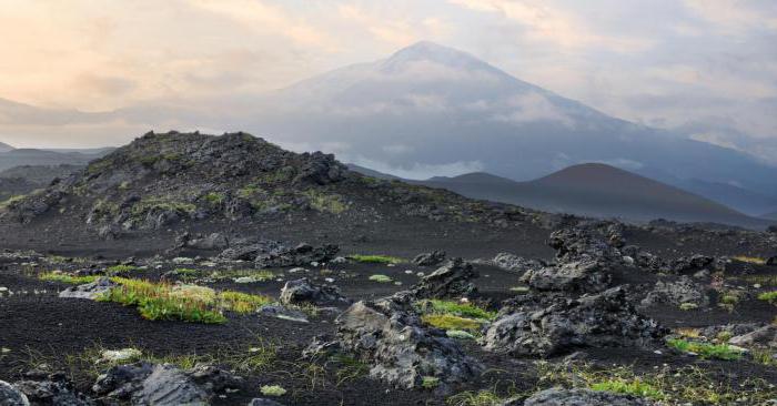 De stærkeste jordskælv i Kamchatka, da de opstod?