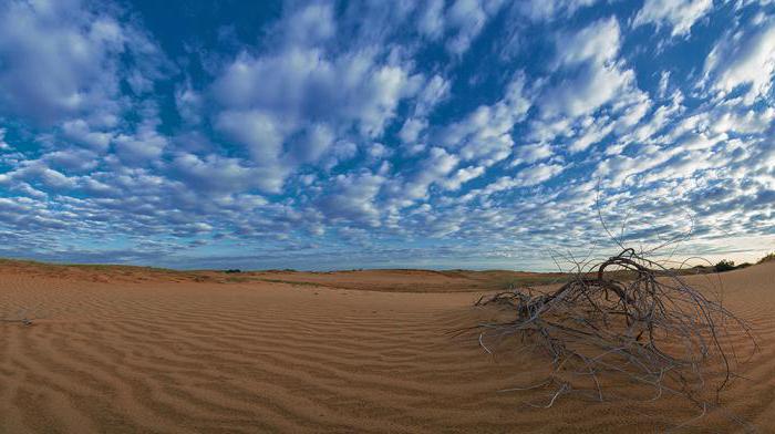 Mystiske ørken Alyoshkovskie sands nær Kherson (Ukraine)