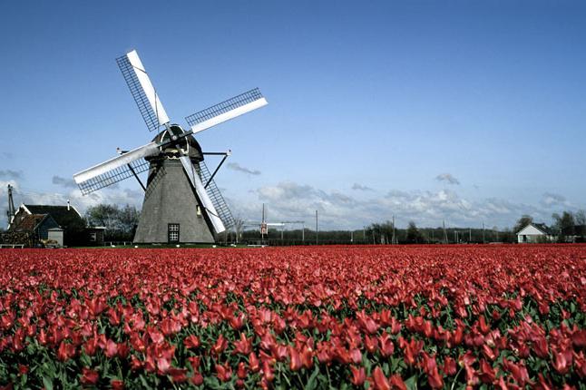 Hvad er forskellen? Nederlandene og Holland er de samme eller ej?