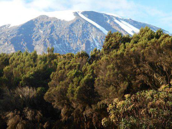 Geografiske koordinater for Kilimanjaro vulkan og andre funktioner