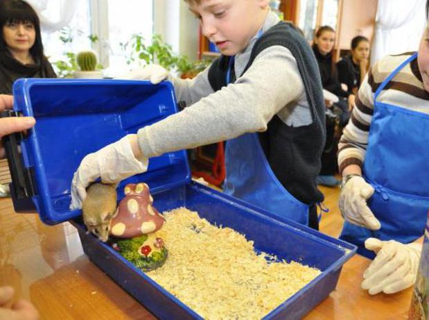 emner åbne biologi lektioner 