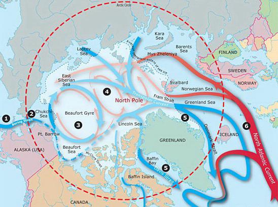 Det arktiske havs strømme