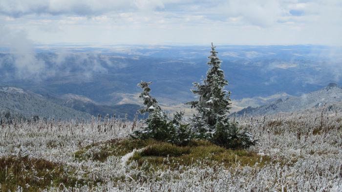 Altai naturreservat