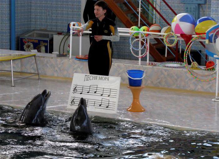 Karadag dolphinarium: beskrivelse og anmeldelser af turister