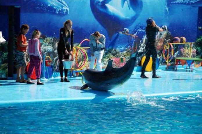 Kirillovka, dolphinarium 