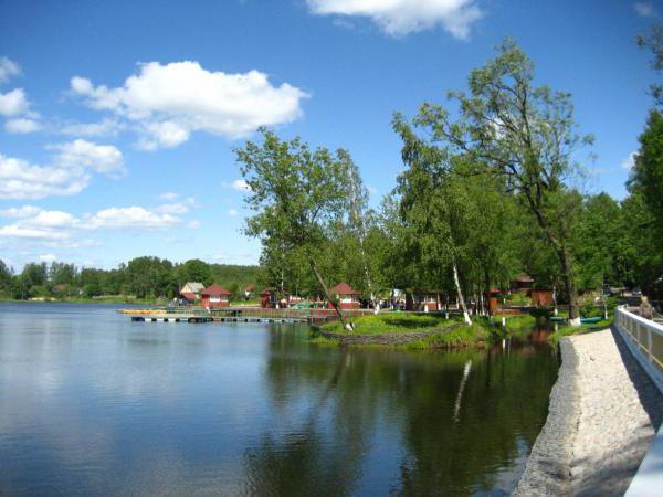 Koltushskoe Sø er et fremragende sted for hvile og fiskeri (Leningrad-regionen)