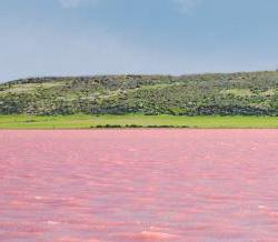 Raspberry Lake (Altai Territory). Hemmeligheden om unikhed