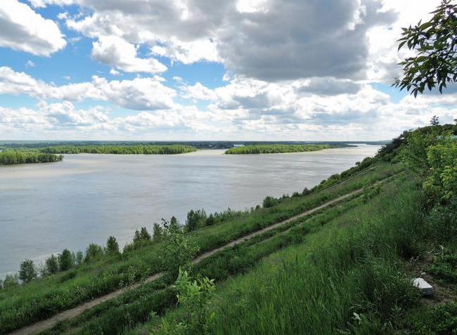 hvordan man kommer til bjergparken i barnaul