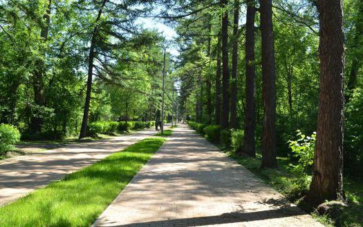 Park Sokolniki Moskva