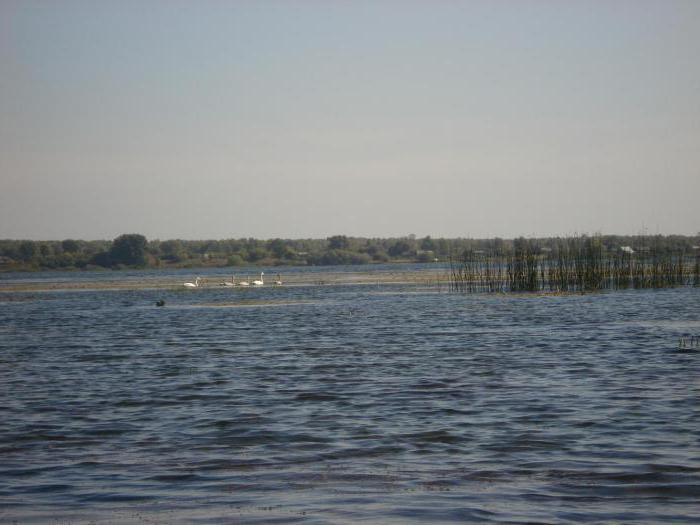 Peters sø i Rusland