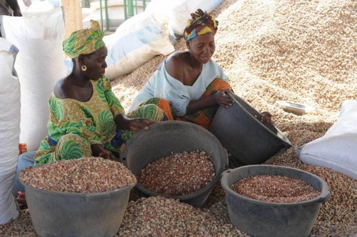 Hvorfor Senegal hedder en peanutrepublik: lidt historie og økonomi