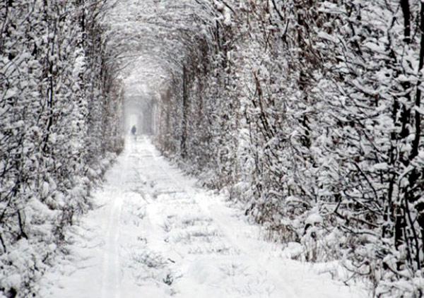 tunnel af kærlighed