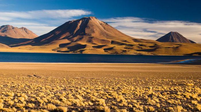 den største ørken i Chile