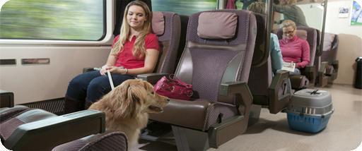 På ferie: regler for transport af dyr på toget