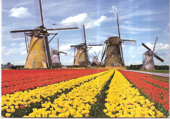 Holland