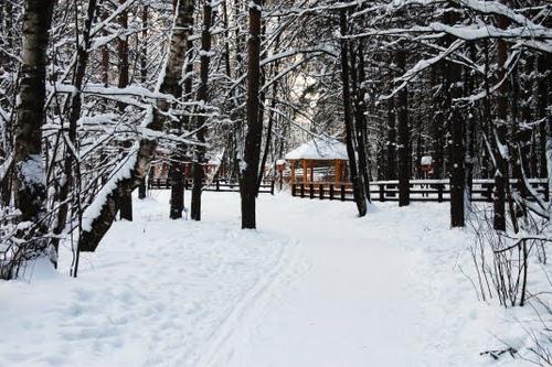 Troparevsky Park - sydvest for hovedstaden