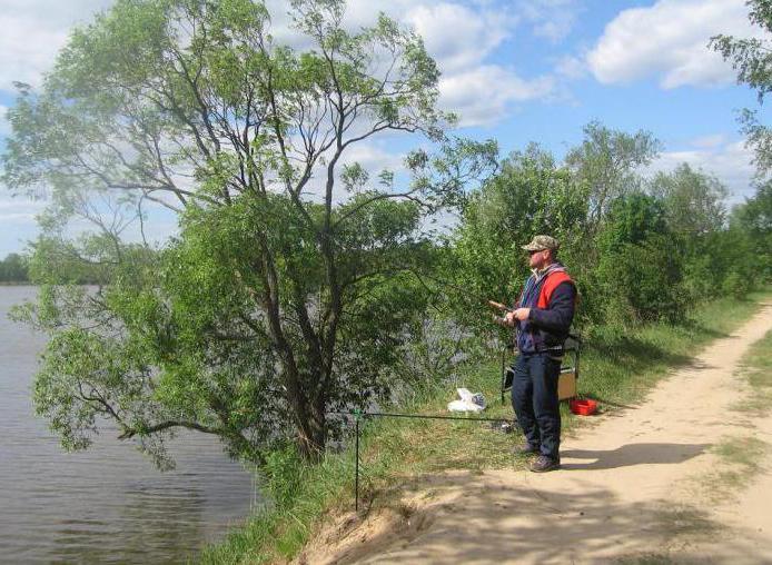 Den rige og maleriske fiskegård i Yegoryevsky