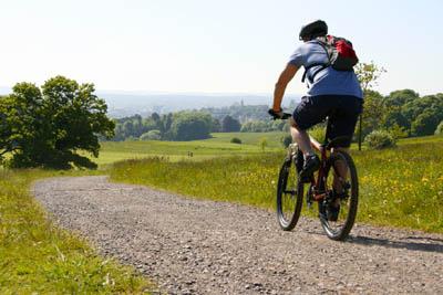 Hvilke cykler er gode, og hvilke er det ikke?