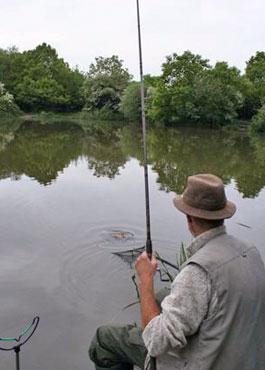 Forårsfiskeri på crucian karperen