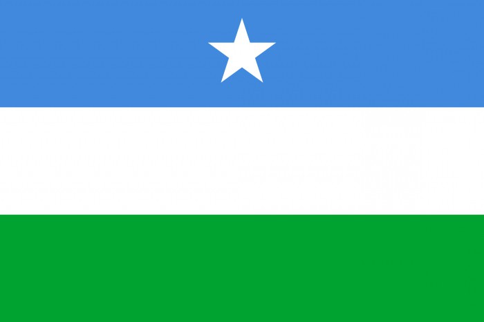 Flag af Somalia: historie og beskrivelse