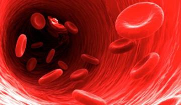 Hvorfor er det nødvendigt at kende betegnelsen af ​​blodgruppen?